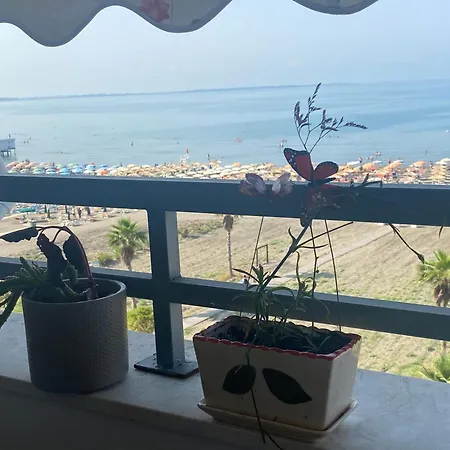 Albi Apartmet Beachfront In Shengjin Exterior photo