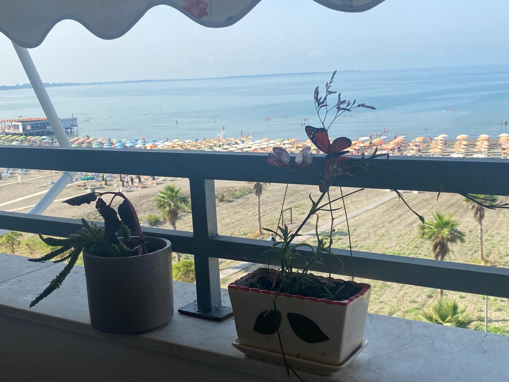 Апартаменты Albi Apartmet Beachfront In